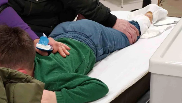 Samsun’da köpek saldırısına uğrayan 7 yaşındaki çocuk hastanelik oldu