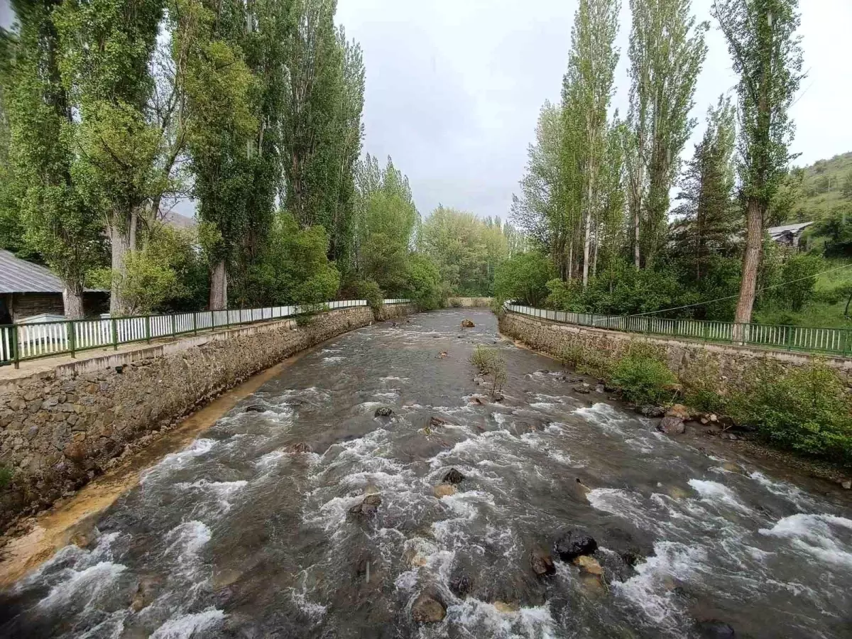 Giresun’da Kaybolan Yaşlı Adam Bulundu