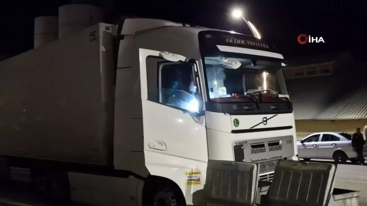 Tır sürücüsü aracında ölü bulundu