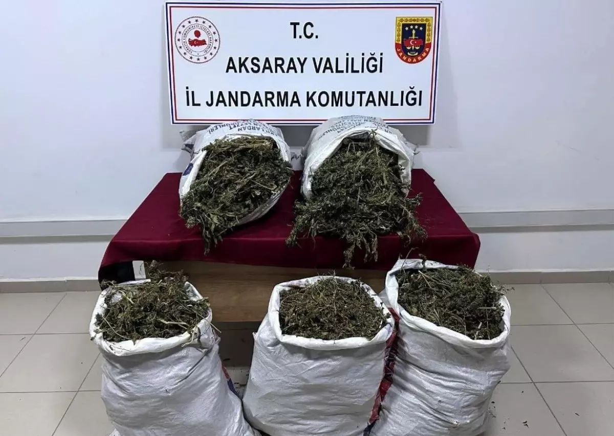Aksaray’da Uyuşturucu Operasyonu: 1 Tutuklama