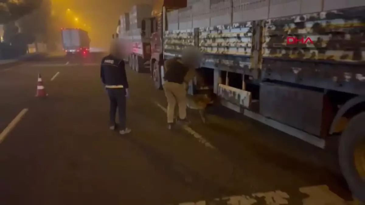 Batman’da TIR’da 8 Kilo 250 Gram Skunk Ele Geçirildi